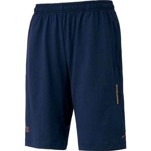 ZETT ゼット ZETT プロステイタス ジャージ トラックハーフパンツ 野球 トレーニングウェア BPRO320HPA-2900