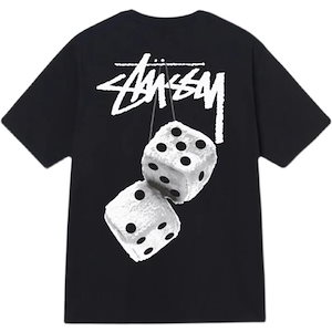 stussy tシャツ