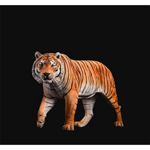 JxK.Studio 1/6 サイズ ベンガルトラ 虎 リアル 野生動物 迫力 フィギュア ジオラマ用 プラモデル おもちゃ 科学 プレゼント プレミアム 41cm インテリア 置物