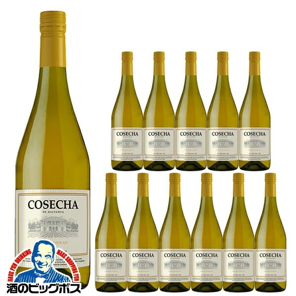 【白ワイン チリワイン】【本州のみ 送料無料】コセチャ シャルドネ 750ml×1ケース/12本(012)