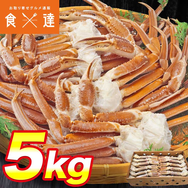 超特大 生 ずわい蟹 5kg 3L-5Lサイズ 蟹 ズワイガニ カニ かに 鍋 業務用 ずわいがに 食べ放題 カニ 蟹脚 セクション 指定日不可