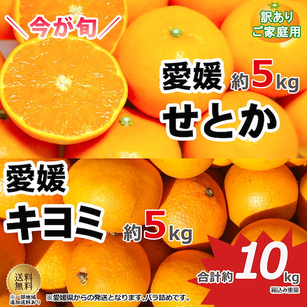愛媛県産 せとか 箱込み約5Kg 柑橘 ミカン