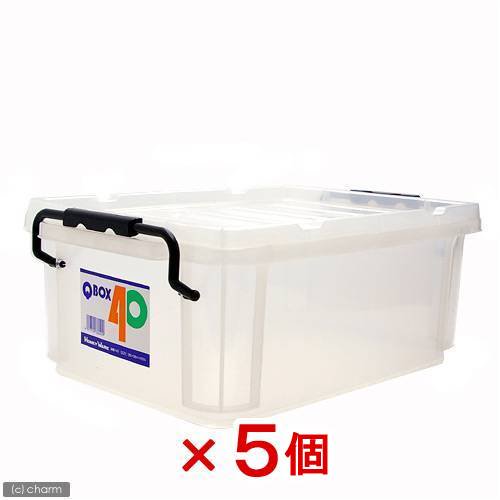 ＱＢＯＸ－４０（３８５X２６５X１５０ｍｍ）　５個　クワガタ　カブトムシ　飼育ケース　コンテナ　ボックス　ブリード　ＣＲＣ18―35―10―40―00