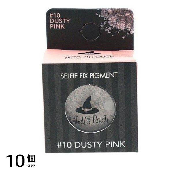Witch’s Pouch(ウィッチズポーチ) セルフィーフィックスピグメント #10 ダスティピンク 1.8g 10個セット 5,354円