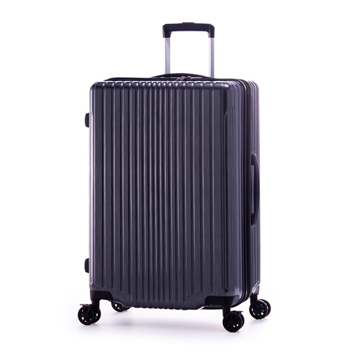 ハードキャリーケース FILPake フィルパケ 10泊以上 100L～114L ALI-6060-28W-GMTBS ガンメタブラッシュ