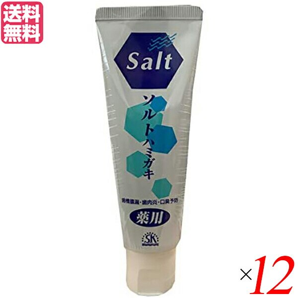 歯磨き ハミガキ エスケー ヱスケー石鹸 薬用ソルトハミガキ 140g 12本セット