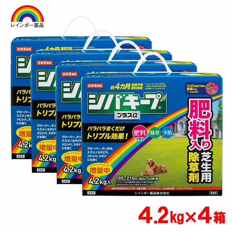 レインボー薬品 シバキーププラスα 4.2kg×4箱 日本芝専用 除草剤 肥料入り 芝生用 除草 予防