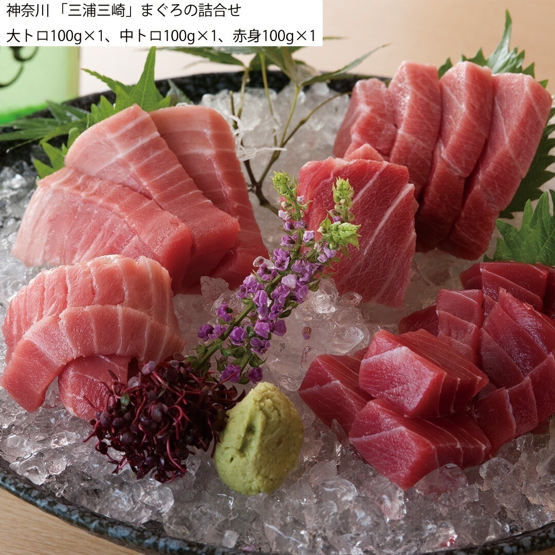神奈川 「三浦三崎」まぐろの詰合せ 大トロ100g1中トロ100g1赤身100g1 【産直メーカー直送品】