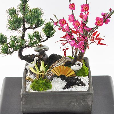 盆栽 松竹梅の寄せ植え 6号サイズ　迎春の盆栽 お正月 植物 縁起物 松竹梅 ぼんさい 門松 五葉松 竹 梅盆栽