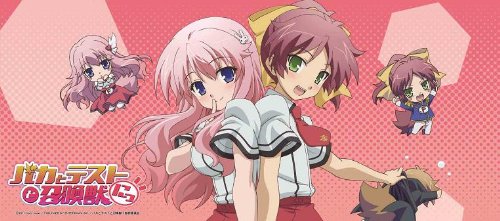バカとテストと召喚獣にっ! マイクロファイバータオル 瑞希&美波