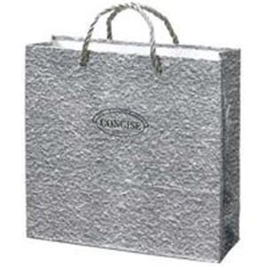 （業務用20セット）東京ユニオン 手提袋 コンサイス No825B 小 グレー