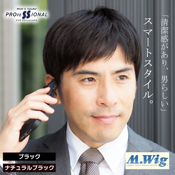 TefuRe 男性用ウィッグ スマートショート [DS-PTMEN-M10] (全国一律送料無料) ウィッグ フルウィッグ ウイッグ かつら 白髪隠し ボリュームアップ 薄毛対策 つけ毛 男性用