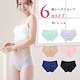 ボックス6枚SET