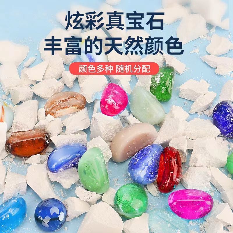 天然 貝殻 考古学 化石 プリンセス おもちゃ 掘り出し物 ブラインドボックス 子供 大きい 子供 手掘り 宝物 女の子 男の子