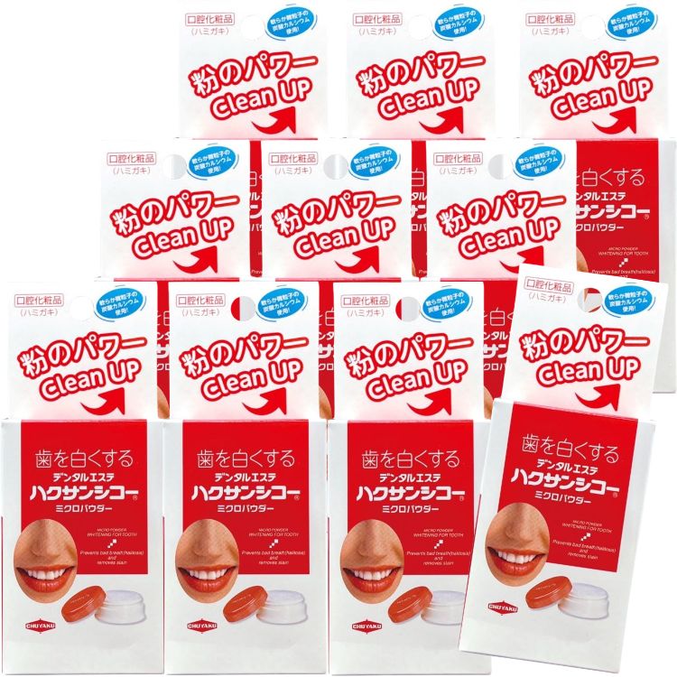 10個セット 中部薬品工業 ハクサンシコー ミクロパウダー 30g ブラシなし ハミガキ