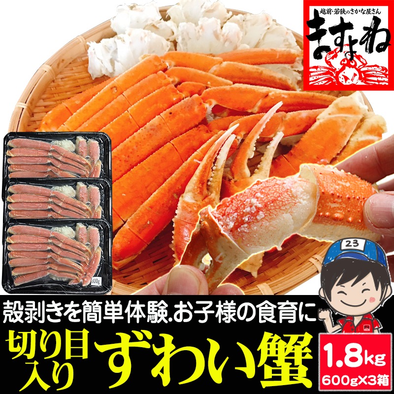 旨茹で＆殻むき簡単！特殊カット済み 茹で 本ズワイ蟹 1.8kg (600g×3箱) ボイルずわい蟹【ギフトのし対応】