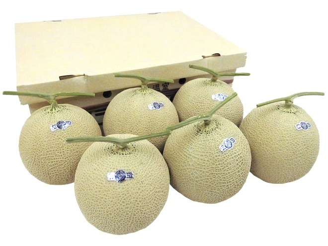 静岡産 高糖度尻割れ =クラウンメロン= 訳あり 5-6玉 約7-9kg 予約 入荷次第発送