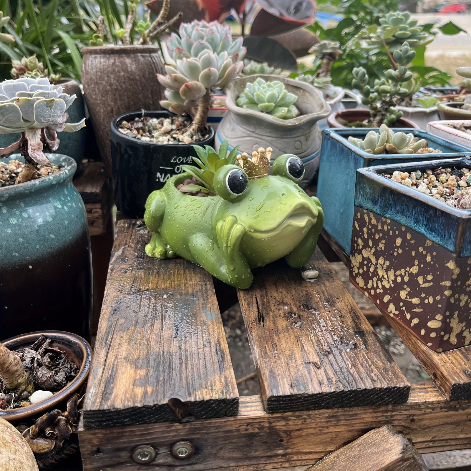 鉢植え 植木鉢 プランター プラントポット フラワーポット ガーデニング 樹脂 屋内 屋外 インテリア 庭 玄関 王冠を被っているカエル かえる 多肉植物 サボテン 可愛い ユニークty446
