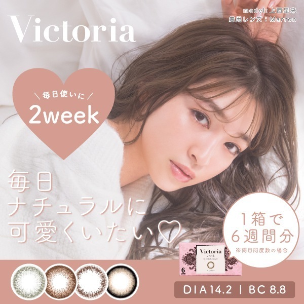 カラコン 2week ヴィクトリア 4箱セット 1箱6枚入り カラーコンタクト 2ウィーク OO