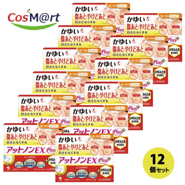 【12個セット】 【第2類医薬品】 【小林製薬株式会社】アットノンＥＸかゆみ止めプラス10g(4987072087398-12)