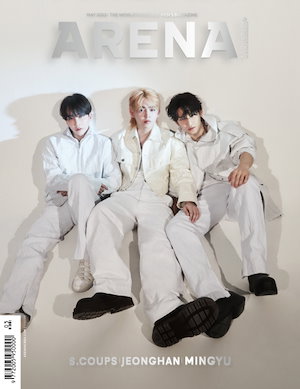 ARENA HOMME