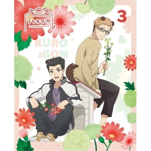 うちタマ! うちのタマ知りませんか3(完全生産限定版) ／ うちタマ! うちのタマ知りませんか (DVD) ANZB-13715