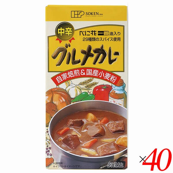 カレー粉 カレールー カレールウ 創健社 グルメカレー（中辛） 115g 40個セット