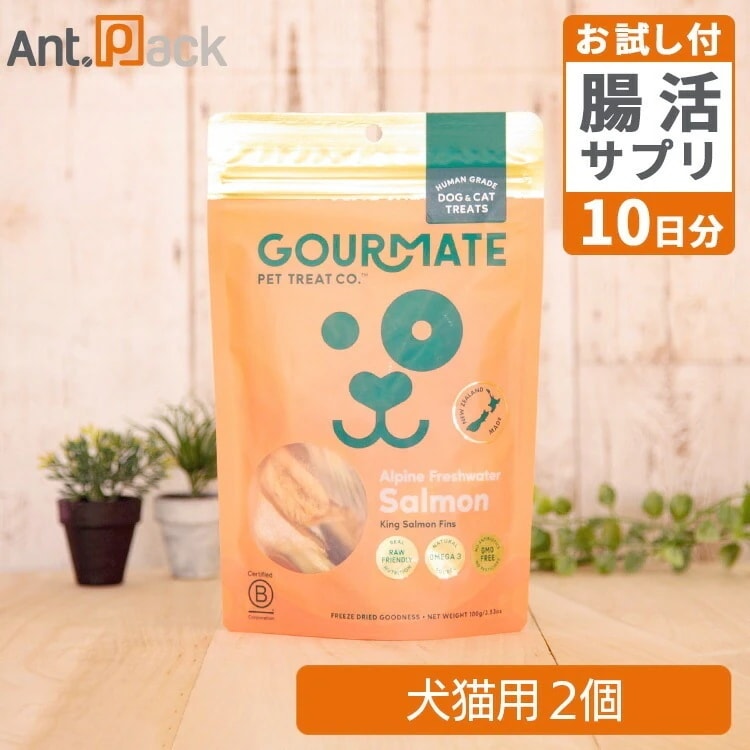 グルメイト フリーズドライトリーツ アルパインサーモン 犬猫用 100g×2個＋腸元気ケストースタブ10日分（37041）