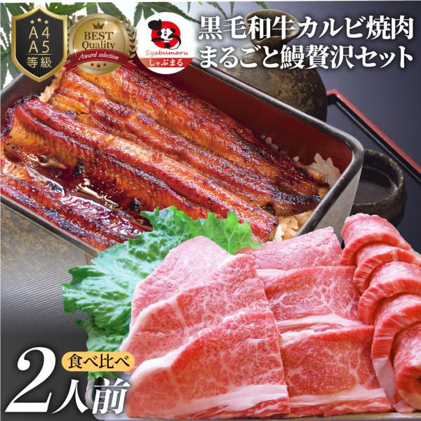 黒毛和牛 ＆ まるごと鰻 セット 2人前 焼肉のタレ 凍眠 テクニカン 肉 お中元 ギフト 食品 うなぎ 黒毛和牛 カルビ 焼肉 A4 A5等級 牛肉