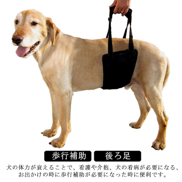 介護ハーネス 犬 胴輪 犬用 後ろ足 痛い 介護 起き上がり ドッグハーネス 歩行補助 後ろ足 歩行サポート リハビリ 中型犬 小型犬 大型犬用 障害犬  介護用品 いぬ 術後 老犬 通気性抜群 散歩用 補助ハーネス 調節可能 S M L XL 洗える