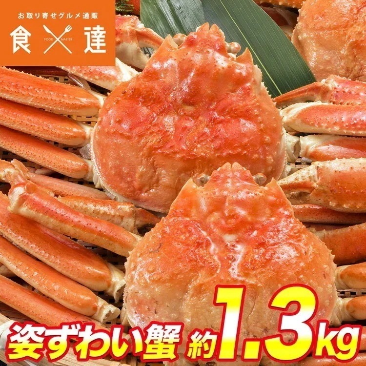 ズワイガニ ずわい蟹 姿２尾セット 約1.3kg(1.2kg-1.4kg) 大サイズ かに味噌 カニ かに 蟹 冷凍便 ギフト 指定日不可