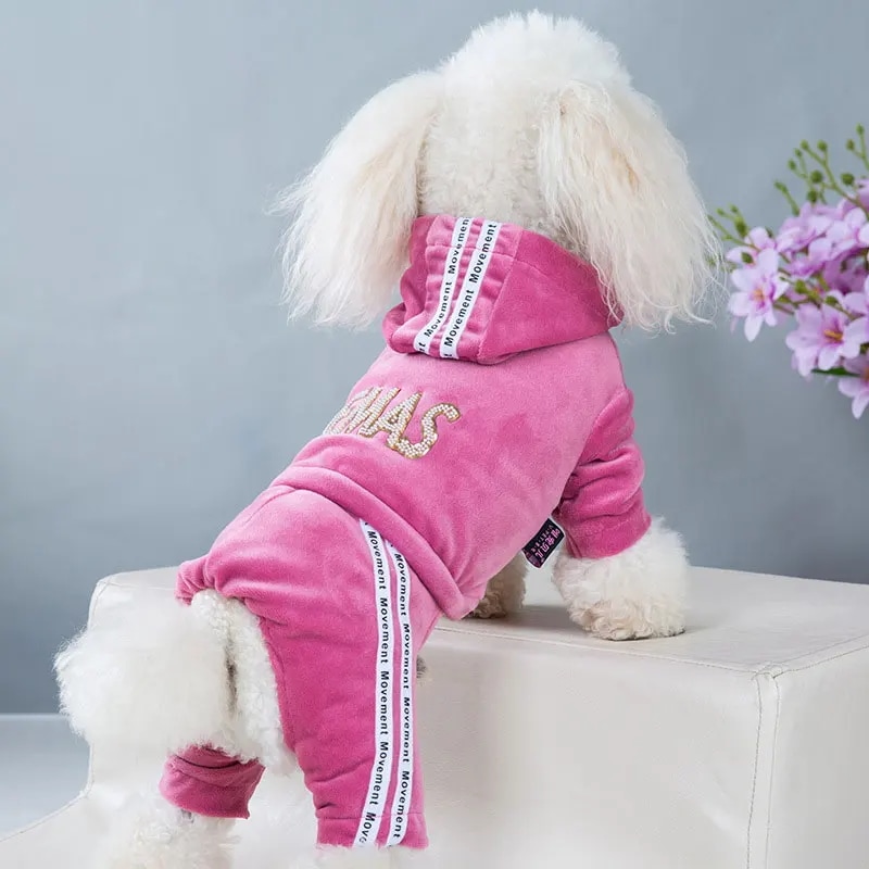 犬のための暖かい秋のペットのジャンプスーツ,暖かい服,小さな犬の服,ベルベットのパジャマ,子犬,チワワのコート