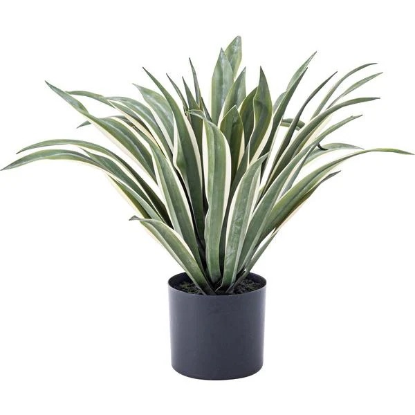 フェイクグリーン アガベ 観葉植物 インテリアグリーン リアル 鉢付き ベースつき おしゃれ 玄関 リビング オフィス 会社 カフェ レストラン 雑貨 装飾
