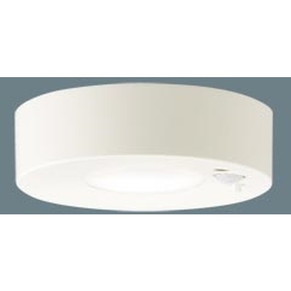 シーリングライト 洋風 LED 小型 温白色 照明 天井 LGBC58014LE1