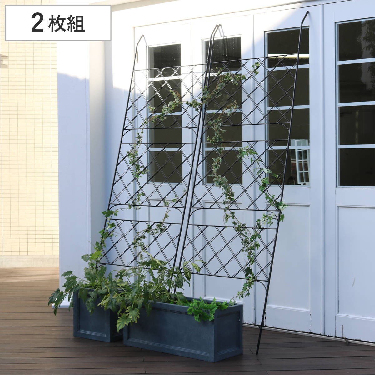 グリーンカーテン アイアン製グリーンカーテン アーガイル 2枚組 グリーンフェンス グリーン カーテン フェンス ガーデンフェンス おしゃれ ガーデニング スチール 緑のカーテン 庭