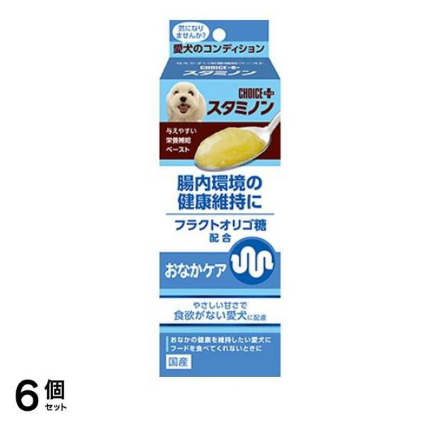 チョイスプラス スタミノン 腸内環境の健康維持に 40g 6個セット