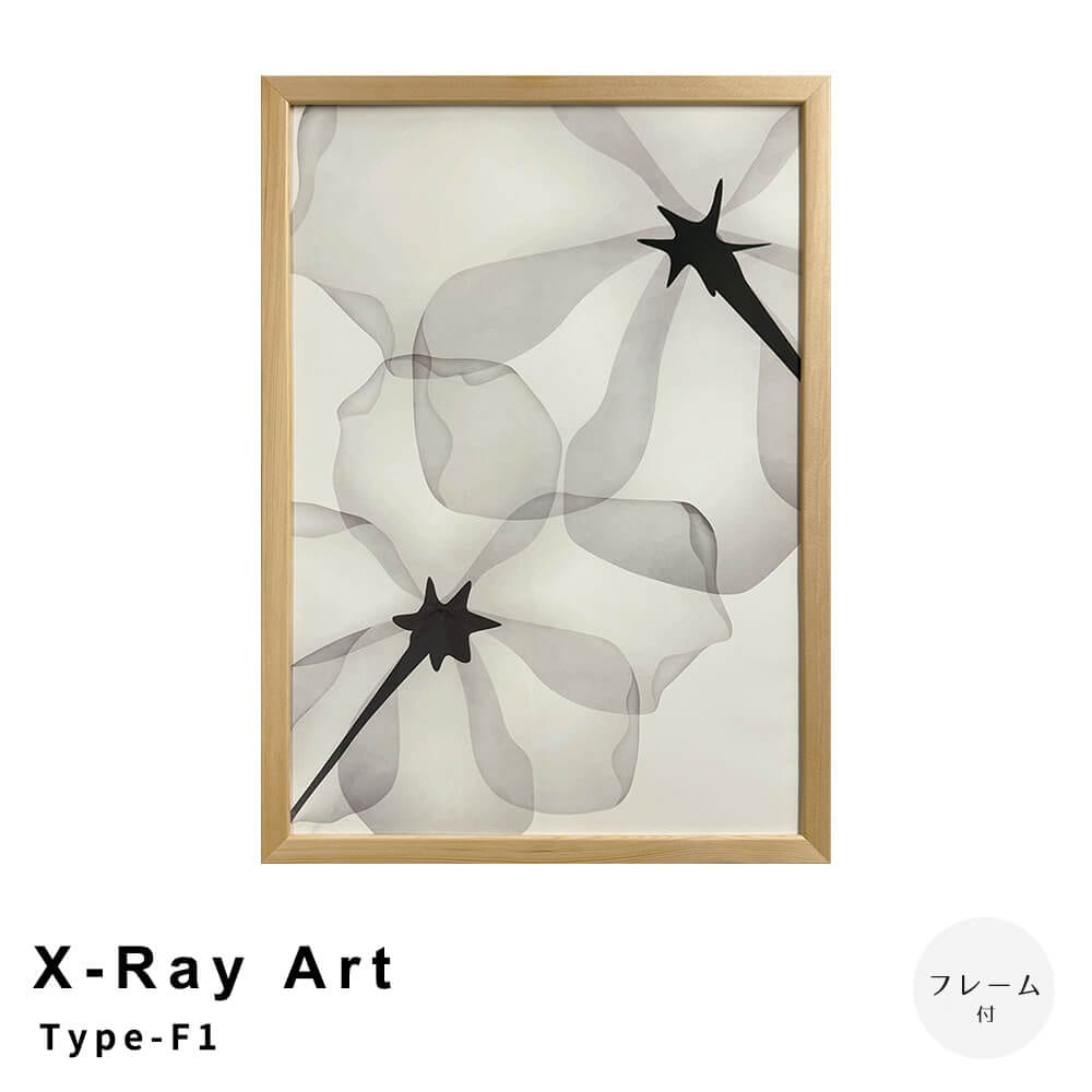 Ｘ－Ｒａｙ　Ａｒｔ　Ｔｙｐｅ－Ｆ１　アートポスター（フレーム付き）
