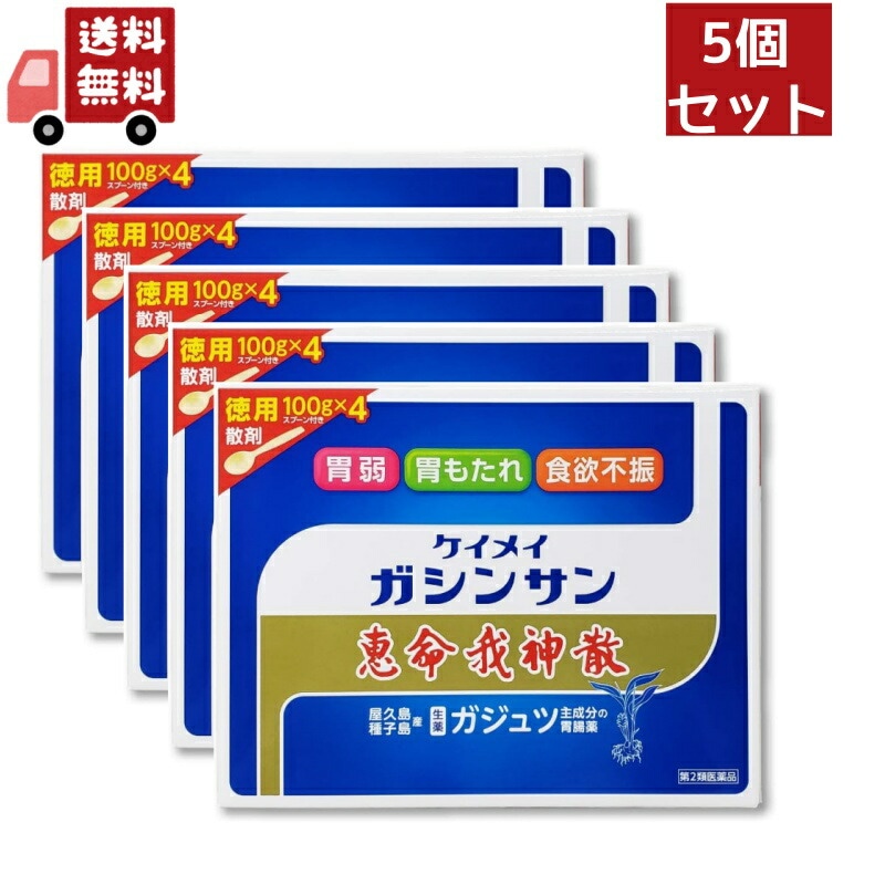 5個セット【第2類医薬品】恵命我神散 けいめいがしんさん 散剤 徳用 100g4 スプーン付き