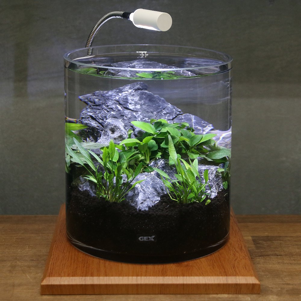 （水草）ＧＥＸ　グラスアクア　シリンダー　Ｎ　水草セット　グラスベース　メープル２００　本州四国限定　ＣＲＣ10―11―03―10―40 9,274円