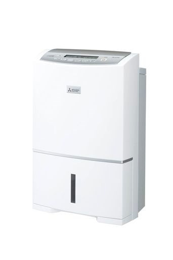 煌めく秋の散歩道　p12キャンバス　アクリル画 煌めく秋の散歩道 P12キャンバス アクリル画 煌めく秋の散歩道 P12