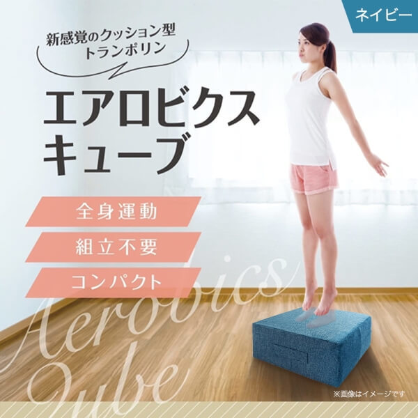 ダイコウ エアロビクスキューブ ネイビー メーカー直送