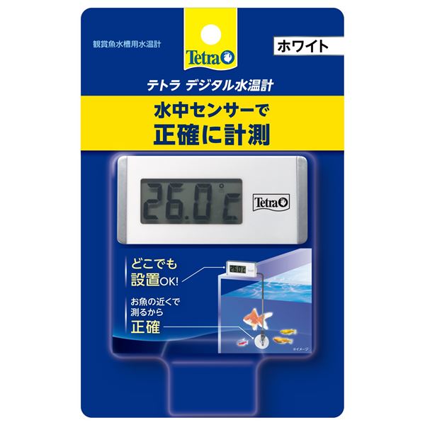 (まとめ)デジタル水温計 ホワイト WD-13セット (観賞魚/水槽用品)