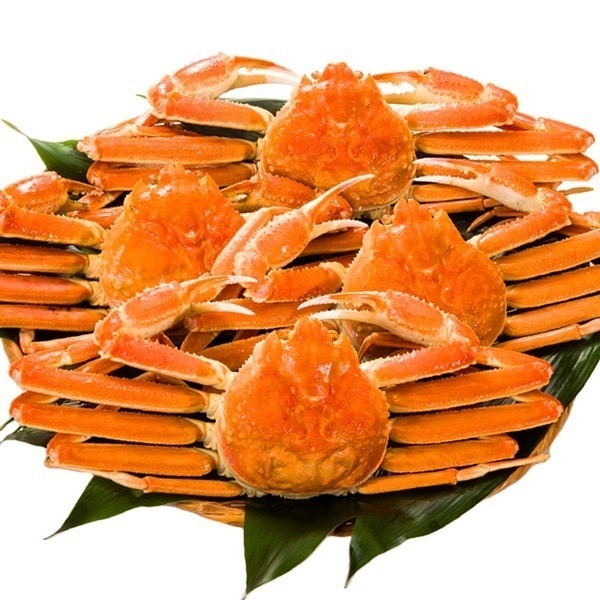 3.6kg6尾 大型ボイルズワイガニ姿 かに カニ 蟹 姿 蟹姿 かにみそ 蟹みそ甲羅盛 鍋 ボイル 12,166円