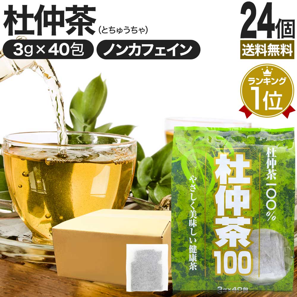 杜仲茶100袋タイプ 3g*40包*24個 お茶パック ティーパック ティーバッグ お茶の葉 お茶ポット 茶葉 健康 茶 ダイエット ダイエットドリンク ダイエット食品
