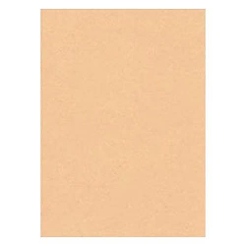 （まとめ買い）リンテック 色画用紙 ニューカラー 4切判 392x542mm 100枚 うすだいだい GO4NCR-103 [x3]