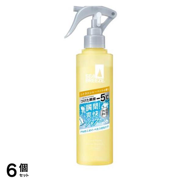 デオ&ウォーターIE アイスタイプ シトラスシャーベットの香り 145mL 6個セット