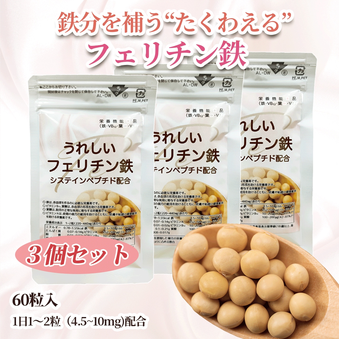 【３袋セット】　鉄分 葉酸サプリメント 「うれしいフェリチン鉄 60粒×3袋」