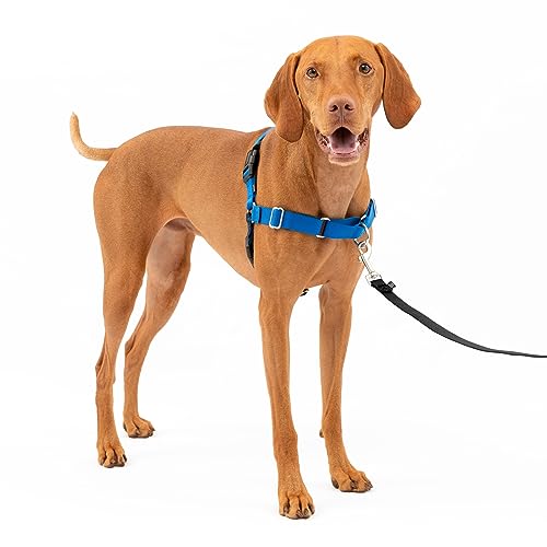 PetSafe イージーウォークハーネス 犬 ハーネス 中型犬 引っ張り防止 調整簡単 抜けない 耐久性が高い（M ロイヤルブルー＆ネイビー） 6,577円