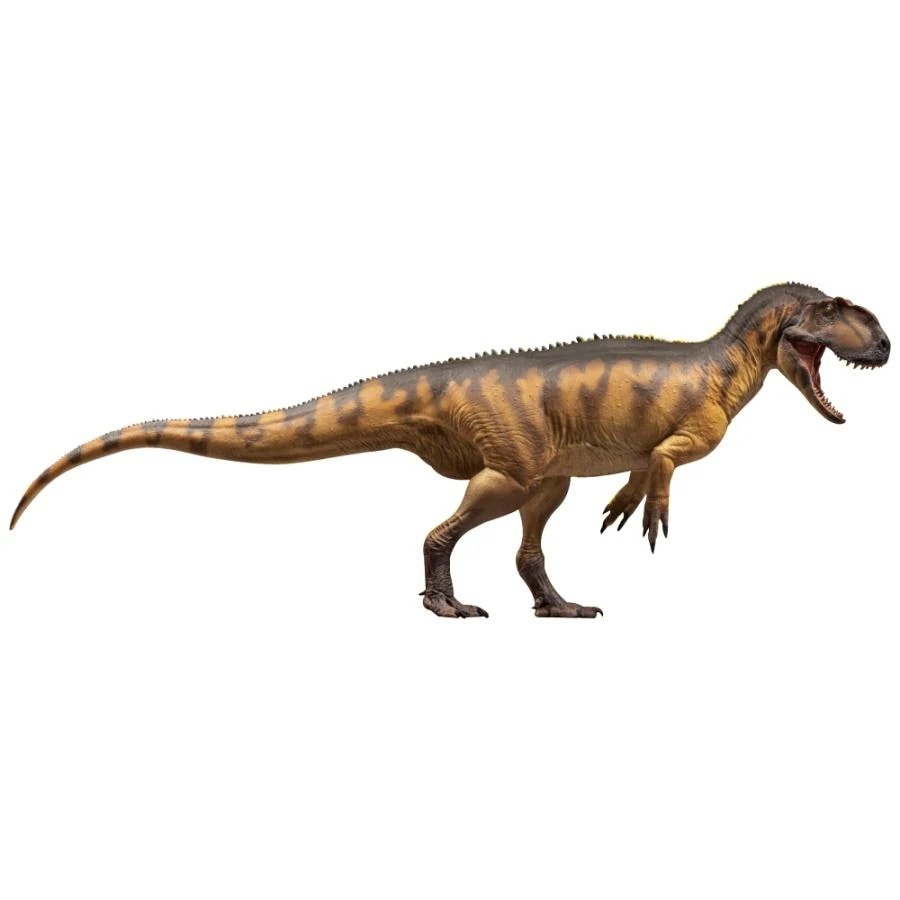 PNSO ヤンチュアノサウルス 成長シリーズ 76 アロサウルス上科 肉食 30.5cm 恐竜 リアル おもちゃ 科学 芸術 模型 恐竜好き プレゼント