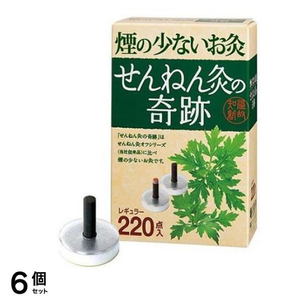 せんねん灸の奇跡 レギュラー 220点入 6個セット